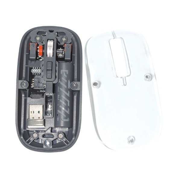 visible mouse