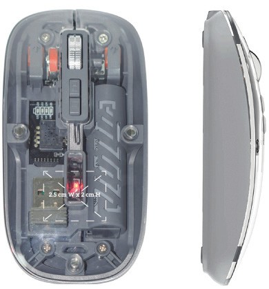 visible mouse